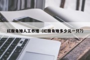 红腹角雉人工养殖（红腹角雉多少元一只?）
