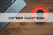 辽宁广厦篮球（cba辽宁广厦球迷）